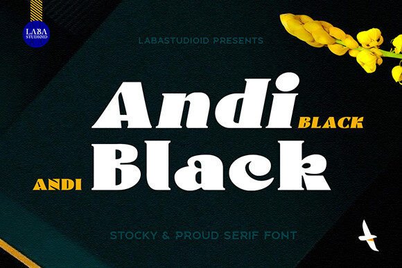 Andi Black: A Serif Font for Modern Design