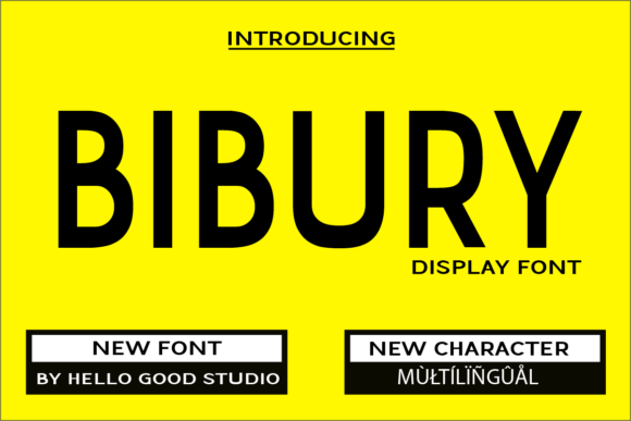 Bibury Font: Modern Sans Serif for Business