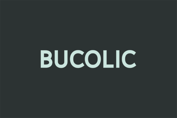 Bucolic: A Modern Sans Serif Font