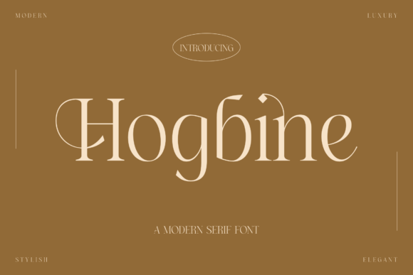 Hogbine: A Bold Serif for Real-World Design