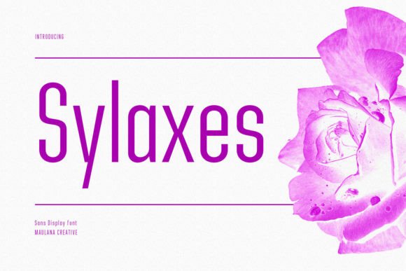 Sylaxes: A Modern Font for Digital Marketing