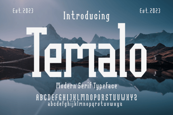 Temalo: A Bold Serif Font for Business Branding